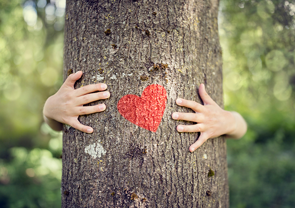 Visión Multidisciplinar